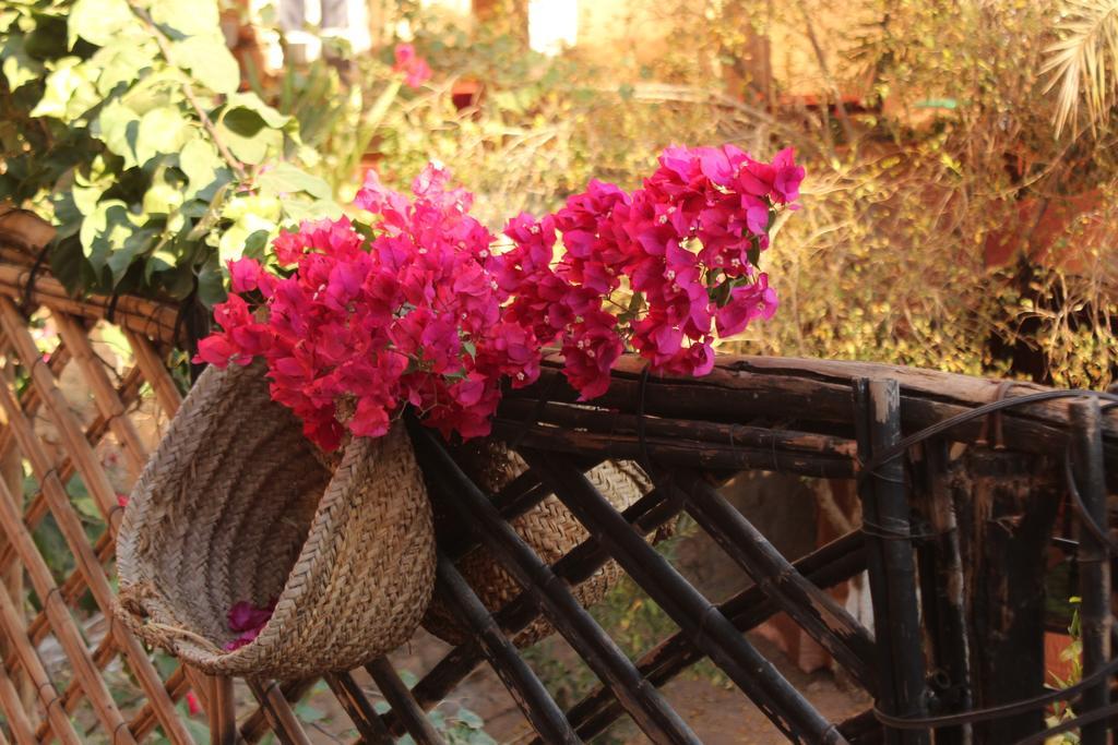 Riad Dar Zaouia Загора Екстер'єр фото